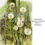 dandelions
