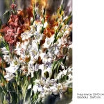 flowers6