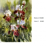 irisu2