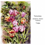tulips