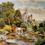 коні